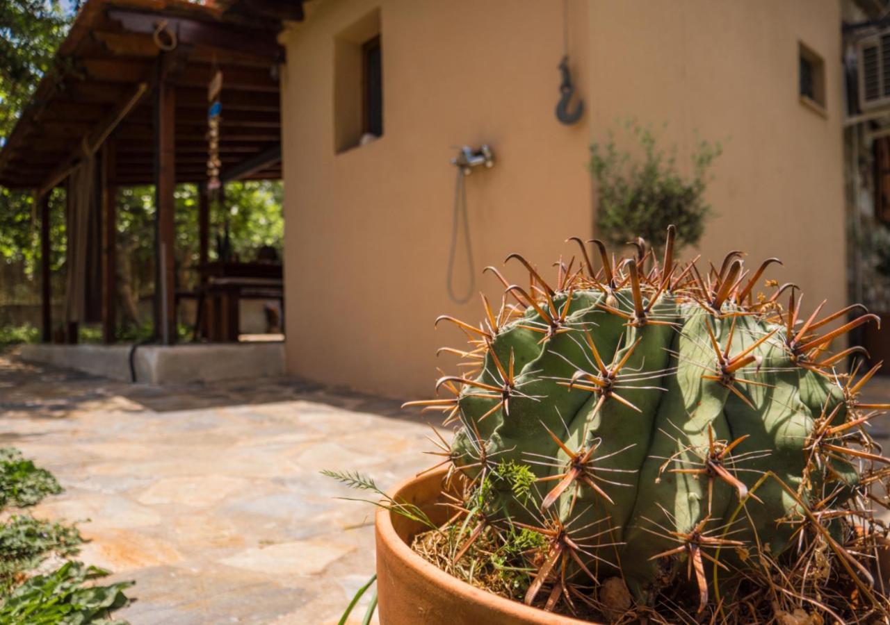 Santa Cruz Country Cottage Kallithea (Chalkidiki) Exterior foto
