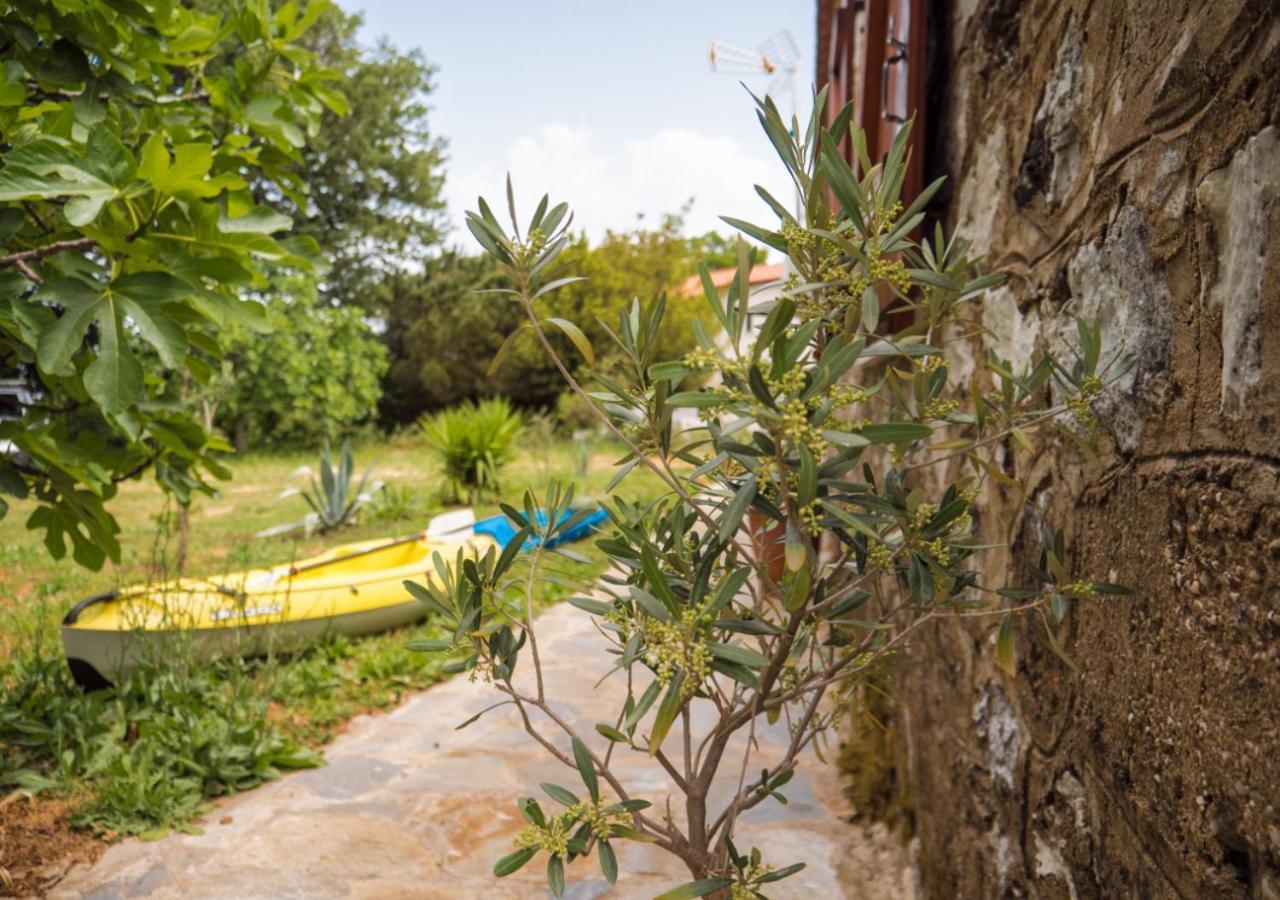 Santa Cruz Country Cottage Kallithea (Chalkidiki) Exterior foto